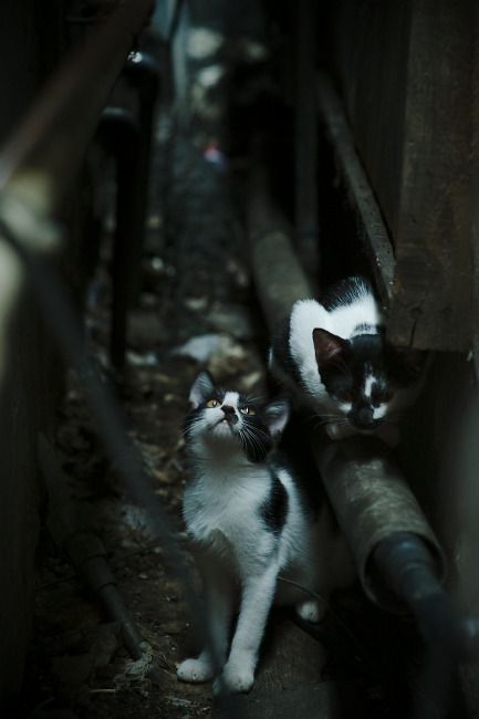 摩洛哥队在巴黎奥运会男足比赛中以2-1惜败西班牙,摩洛哥足球球员